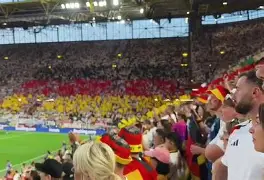  菲尼克斯羽毛球 