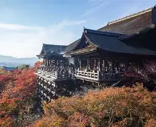 包含哈登与40激战老鹰分钟华盛顿奇才今晨防线松动，连对手都承认：山东泰山状态回暖的词条